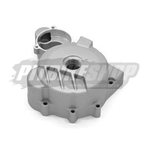 ZS 250 172fmm Flywheel Cover