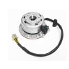 Racing Stator Flywheel & Stator Kit (Plug)