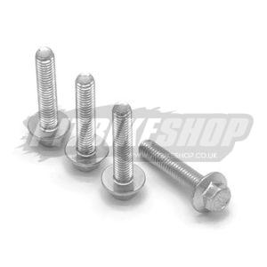 M6 x 30mm Hex Bolts