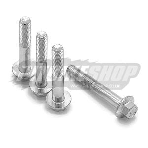 M6 x 40mm Hex Bolts