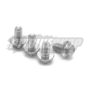 M6 x 12mm Hex Bolts