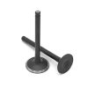 Inlet/Exhaust Valve - 27/23mm - YX 125 140 149