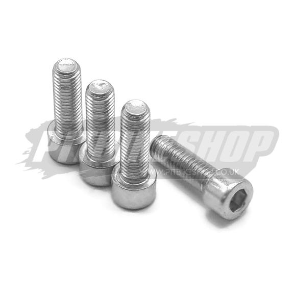 M8 x 25mm Allen Bolts