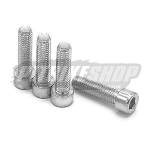 M8 x 30mm Allen Bolts