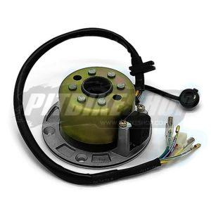 Stator Coil & Flywheel - ZS155