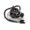 Stator Coil - Kick Start - YX 160 - Runs Lights