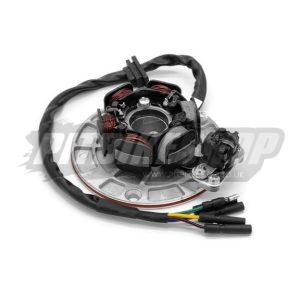Stator Coil - Kick Start - YX 160 - Runs Lights