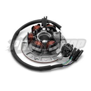 Stator Coil - Kick Start - YX 140 - Runs Lights