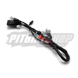 Wiring Loom - Kurz RT1 2024>