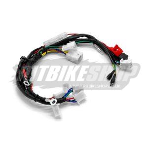 Wiring Loom - ZS190