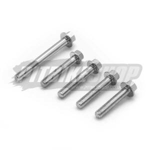 Flywheel Cover Bolts - E/Start - 5pcs